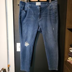 Lane Bryant x Girl With Curves Stretch Distressed Jeans LOT of 2 Size 20